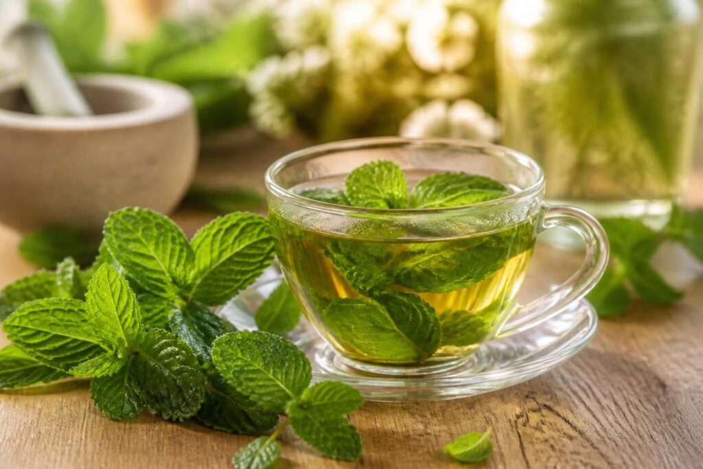 découvrez les bienfaits de la tisane à la menthe poivrée, ses propriétés digestives et rafraîchissantes, ainsi que les précautions à prendre pour une consommation sûre.